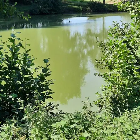 Zieger - Urlaub In Franken Lejlighed *