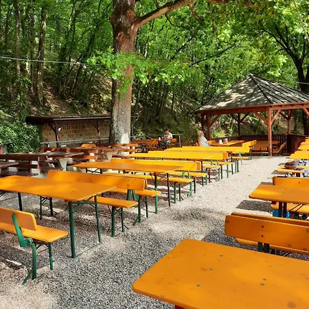 Zieger - Urlaub In Franken Апартаменты *
