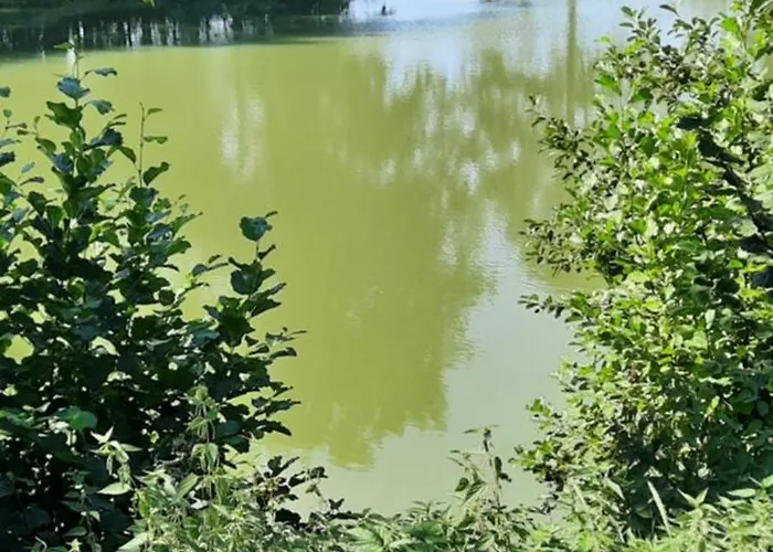 Zieger - Urlaub In Franken Апартаменты *