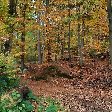 Zieger - Urlaub In Franken Buttenheim