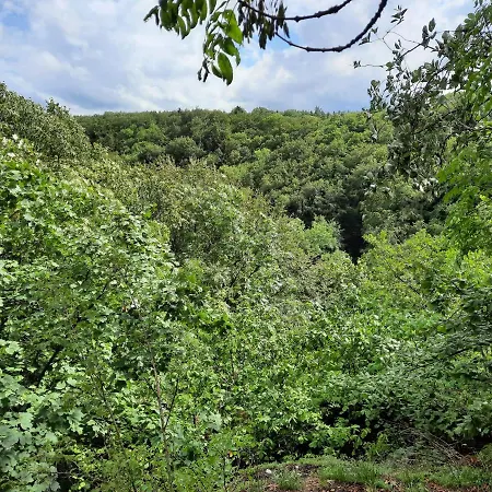 Apartment Zieger - Urlaub In Franken Buttenheim