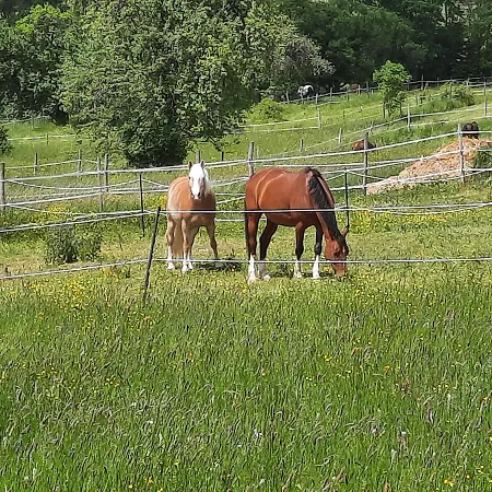 Zieger - Urlaub In Franken Daire