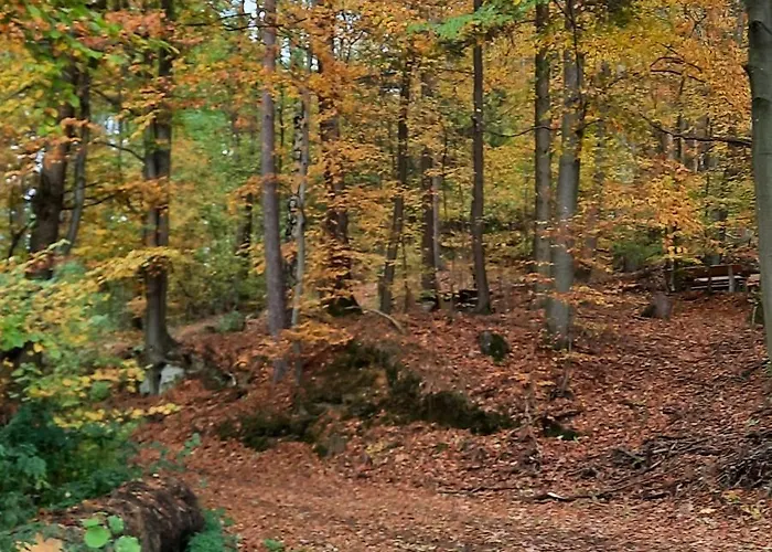 Zieger - Urlaub In Franken Buttenheim