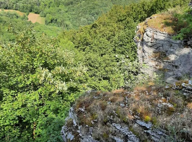 Zieger - Urlaub In Franken Buttenheim