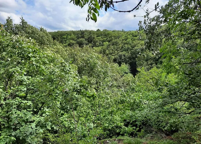 Apartman Zieger - Urlaub In Franken Buttenheim