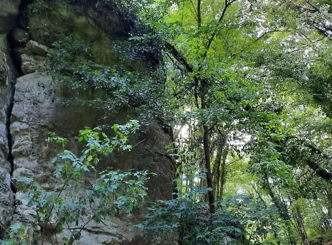 Apartman Zieger - Urlaub In Franken Buttenheim